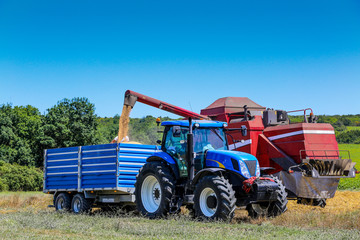 Harvest time.