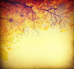 Abstract autumnal background with colorful leaves
