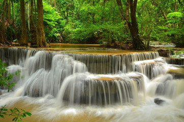 Obraz premium Deep Forest Waterfalls