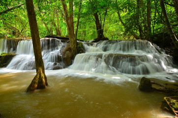 Deep Forest Waterfalls