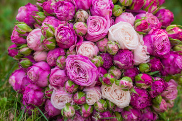 Beautiful bouquet of pink roses on grass