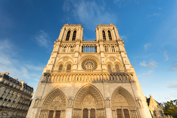 Fototapeta na wymiar The Cathedral of Notre Dame de Paris, France