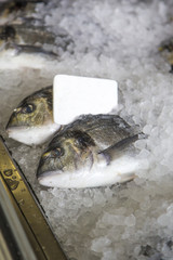 Fresh fishes on ice