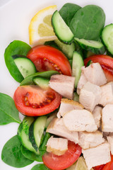 Close up of chicken salad.