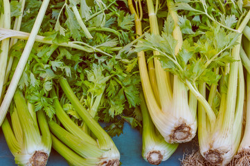 Obraz premium Celery vegetable