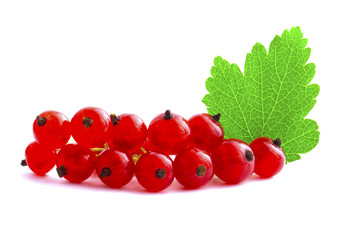 Branch of red currants isolated on white background