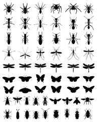 Black silhouettes of insects, vektor