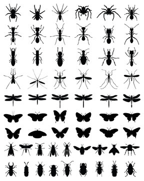 Black silhouettes of insects, vektor