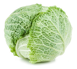 Obraz premium Savoy cabbage isolated