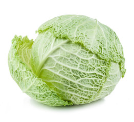 Fototapeta premium Savoy cabbage isolated