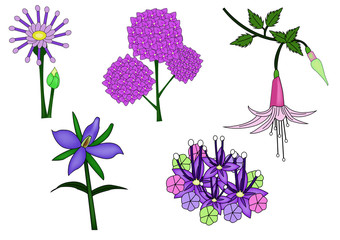 The Vector of Purple flower