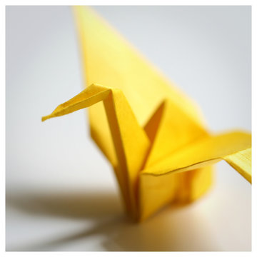 Origami
