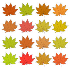 Fototapeta premium Set of autumn leaves. Raster