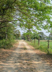 Obraz premium Farm road in the countryside