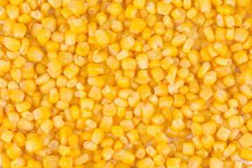 Tasty yellow grains of corn.
