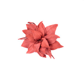 Artificial pink flower of silk.
