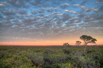 Obraz premium Outback Australia