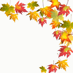 Naklejka na ściany i meble Herbst: Fallende, bunte Blätter :)