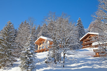 Winter in alps