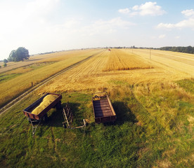 harvest a bird's eye © gruart