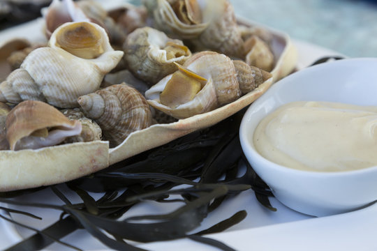 Plateau de Fruits de Mer Bretagne