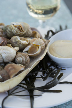 Plateau de Fruits de Mer Bretagne