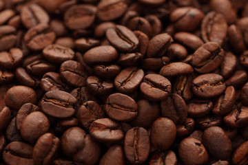 Obraz premium Coffee Beans (XXXL)