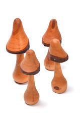 Pilze aus Holz