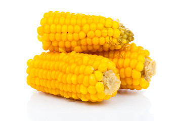 Boiled corn cob on white background