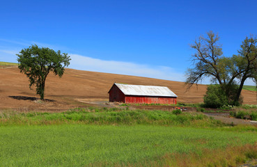 Old barn near Pullman