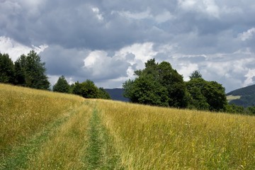 Fototapeta na wymiar Slovakian landscape