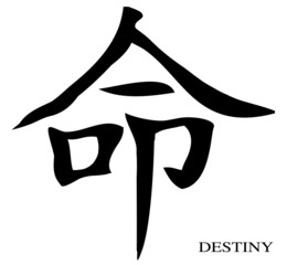 Destiny Chinese Character