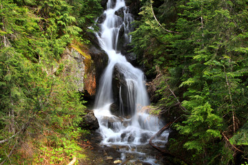 Mount Rainier falls