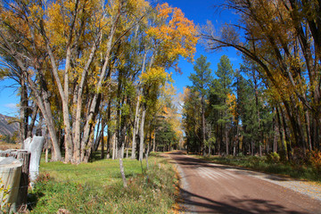 Rural drive through colorful trees in autumn time