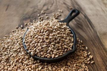 Plexiglas foto achterwand grains of wheat © svetlanahamada