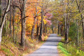 Mountain road in West Virginia