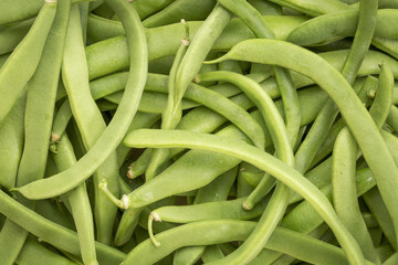 green bean background