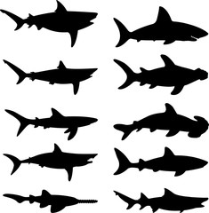 Sharks vector silhouette - obrazy, fototapety, plakaty