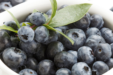 ブルーベリー