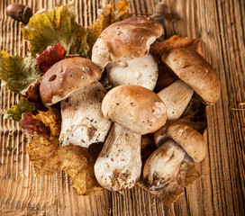 Boletus on wooden planks