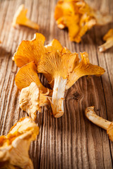 Golden chanterelles on wooden planks