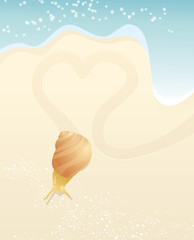 Snail and heart on the beach