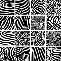 Animal skin fur vector pack leopard zebra © sdecoret