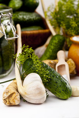 Homemade pickles in brine with garlic, dill and horseradish