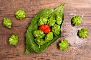 Chili Paprika auf einem Blatt