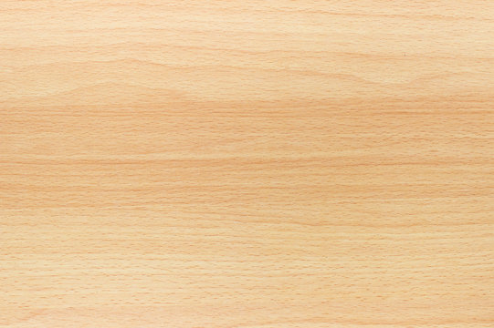 269 227 Best Birch Wood Images Stock Photos Vectors Adobe Stock