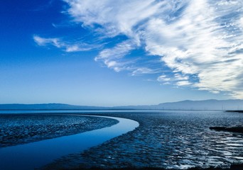 view on san francisco bay from bay trail