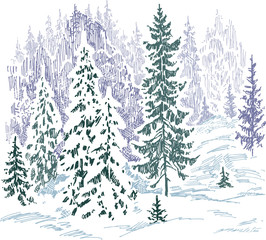 Fototapeta premium frozen forest