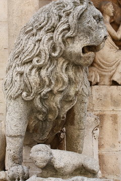 Leone stiloforo Cattedrale di Altamura