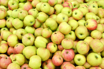 Apples